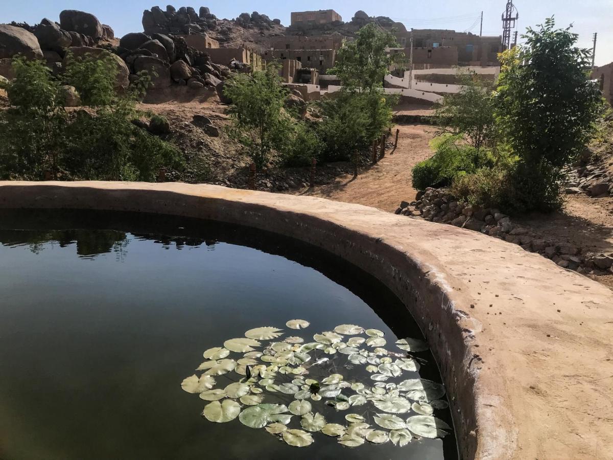 Eco Nubia Villa Aswan Eksteriør billede