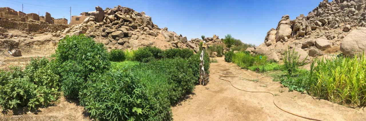 Eco Nubia Villa Aswan Eksteriør billede